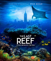 Последний риф 3D Смотреть Онлайн / The Last Reef 3D [2012]